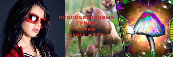 тгк Верхний Тагил