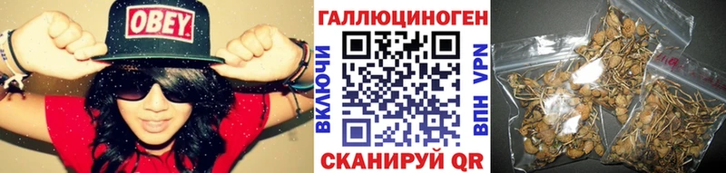 Галлюциногенные грибы GOLDEN TEACHER  Цоци-Юрт 